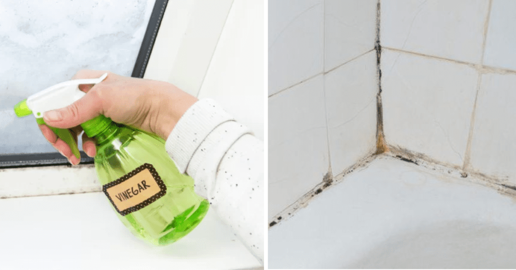How to Remove Mold From Silicone Caulk